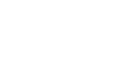 Twin State Inc